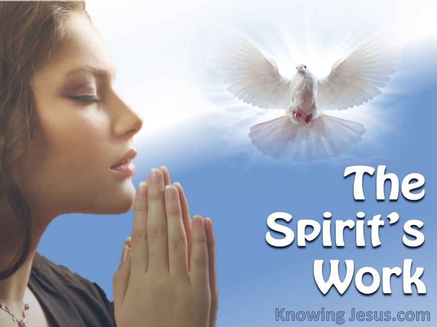 The Spirit's Work (devotional)05-22 (blue)